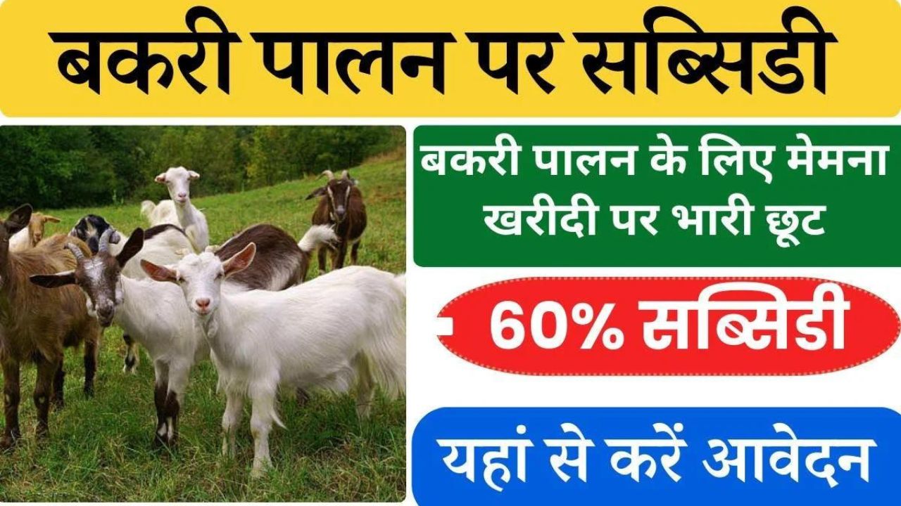 Bakri Palan Yojana 2024